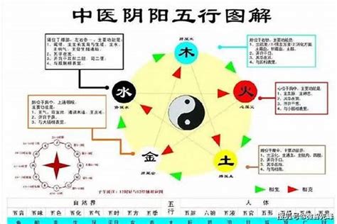 八字看疾病|八字看疾病 – 八字看各类疾病